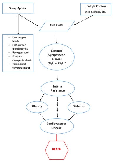 SleepFacts_EckCreativeMedia_Design_Sleep_Apnea_Sleep_Loss_Graph