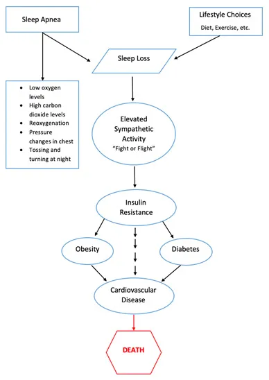 SleepFacts_EckCreativeMedia_Design_Sleep_Apnea_Sleep_Loss_Graph